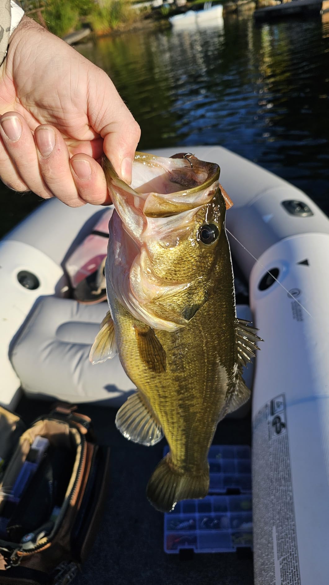 Reaction Tackle Tungsten Wacky Jig Heads - Weedless Wacky Worm Hooks for Soft Plastics, Ned Rig and Neko Rig Setups, Bass and Panfish Fishing Jig Heads (5-Pack) customer photo 1