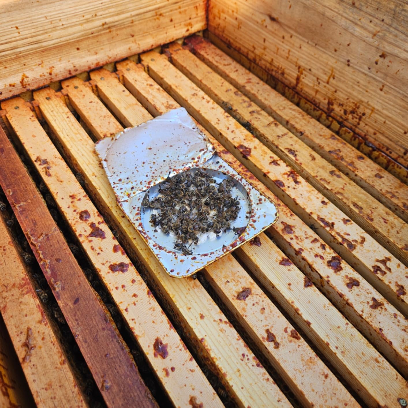 Apiguard Varroa Mite Treatment, 10 x 50g customer photo 1