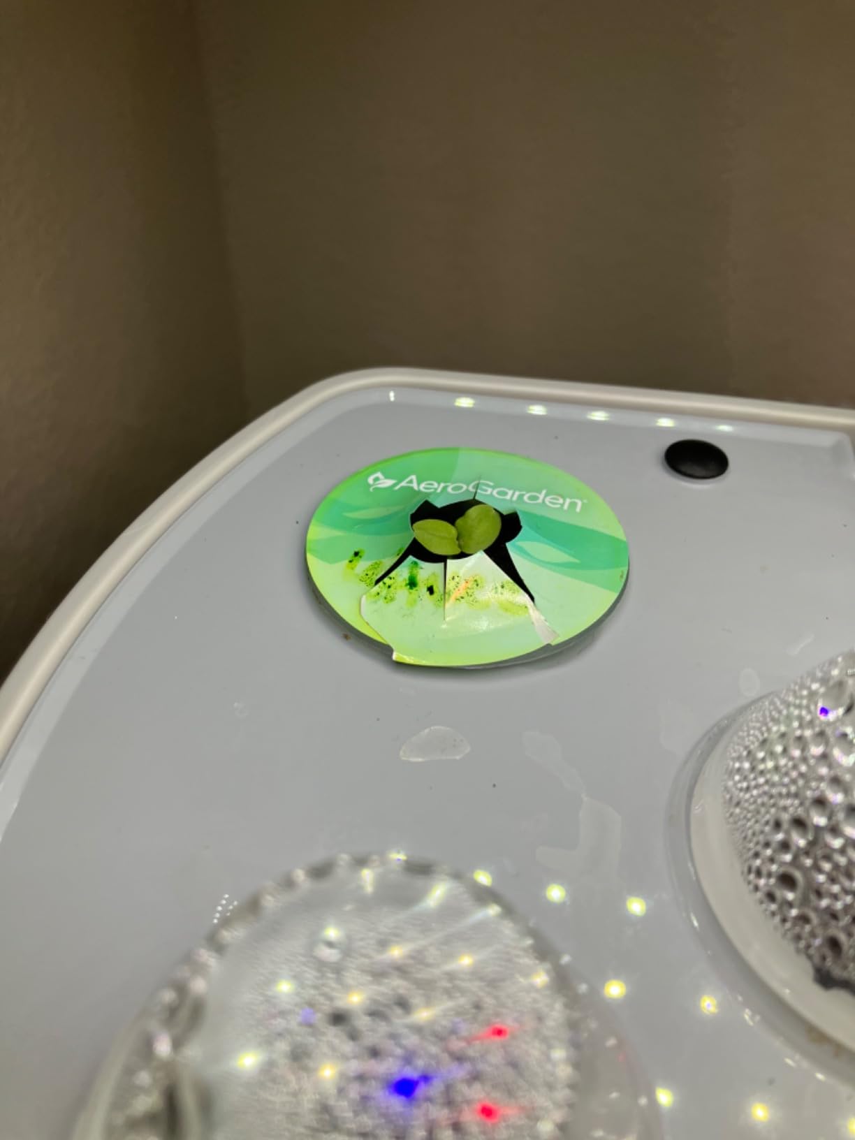 AeroGarden Harvest Elite, Stainless Steel | Indoor Garden with LED Grow Light and Seed Pod Kit customer photo 1