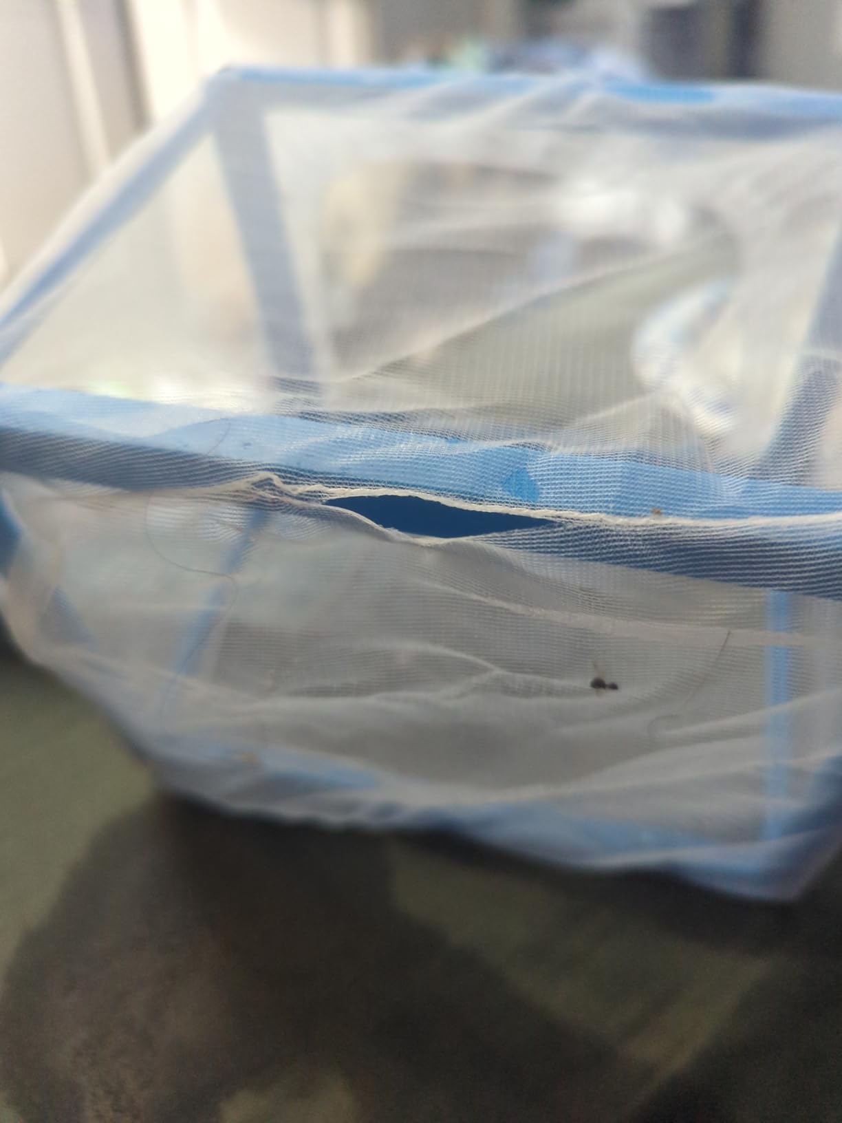 Fish Net Isolation Box - Lee's Aquatics customer photo 1