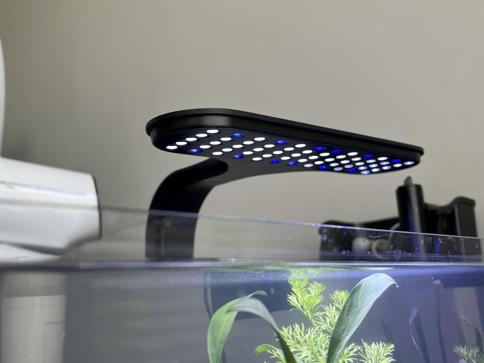 Aqueon Clip-On LED Fish Tank Light for Planted Aquariums, Up to 20 Gal customer photo 1
