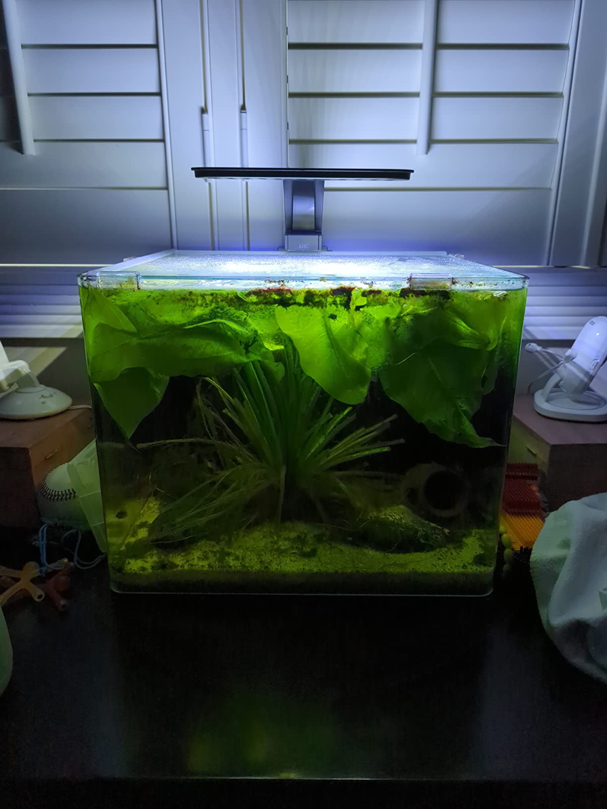 Aqueon Clip-On LED Fish Tank Light for Planted Aquariums, Up to 20 Gal customer photo 2