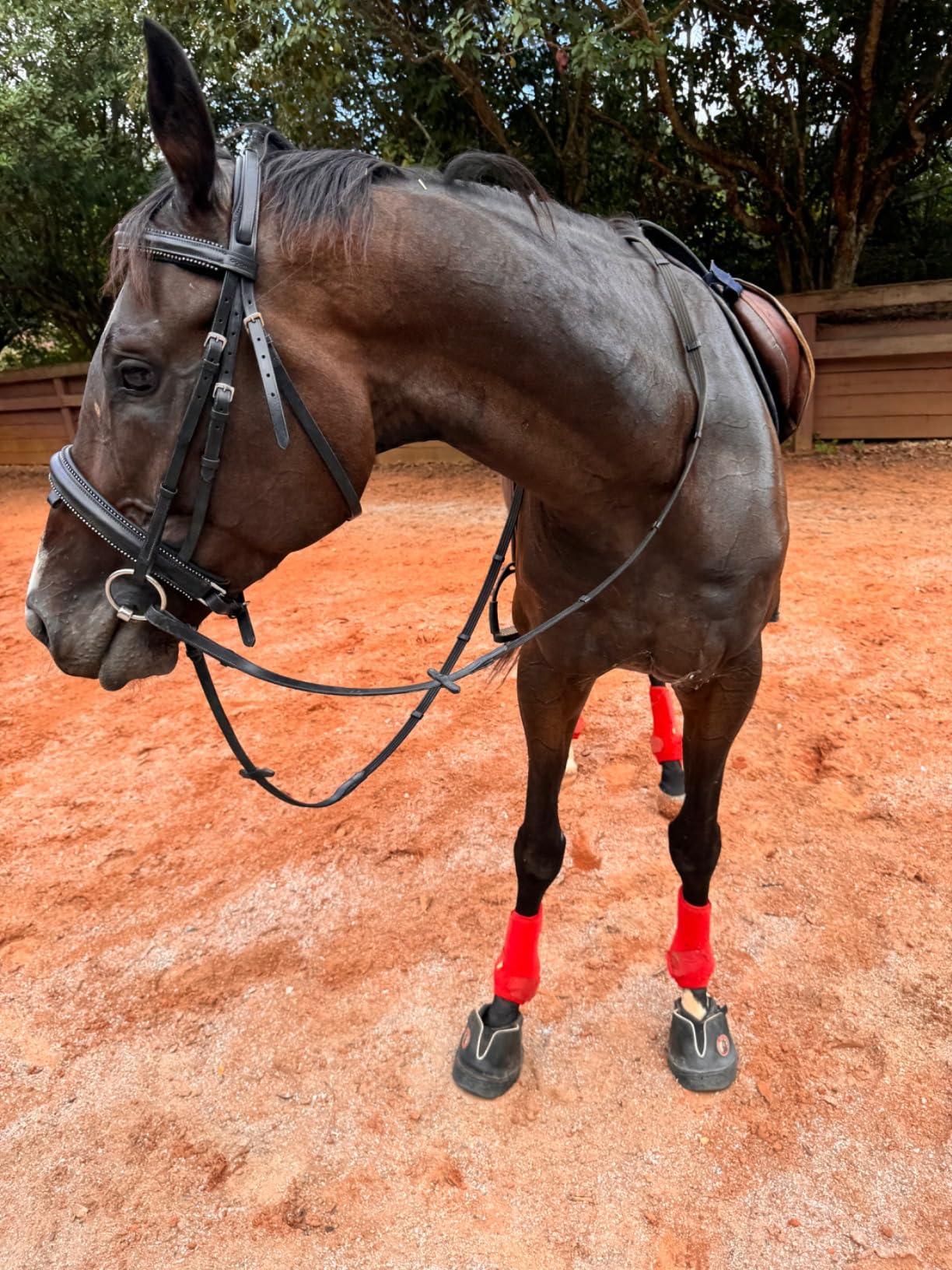Equine Fusion Active Jogging Shoe Flexible Hoof Boots for Horses Front Feet customer photo 2
