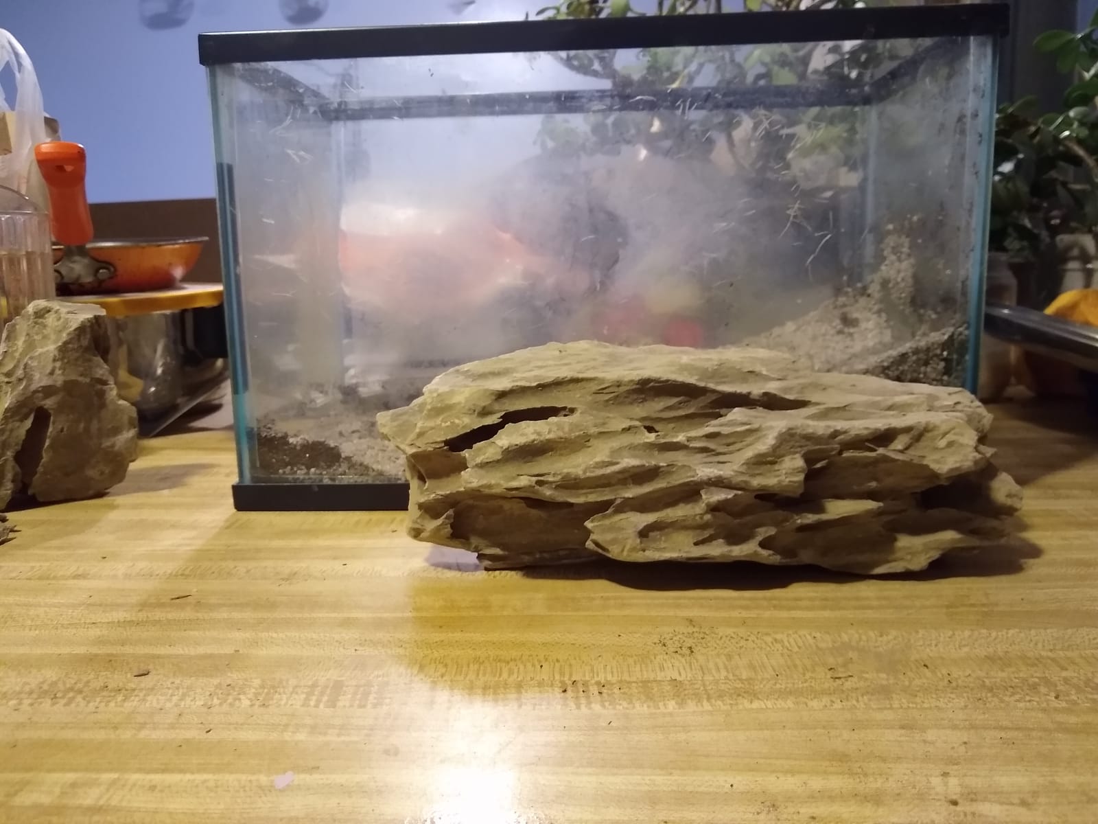 Aquarium Ohko Dragon Stone Rock Mixed Sizes customer photo 2