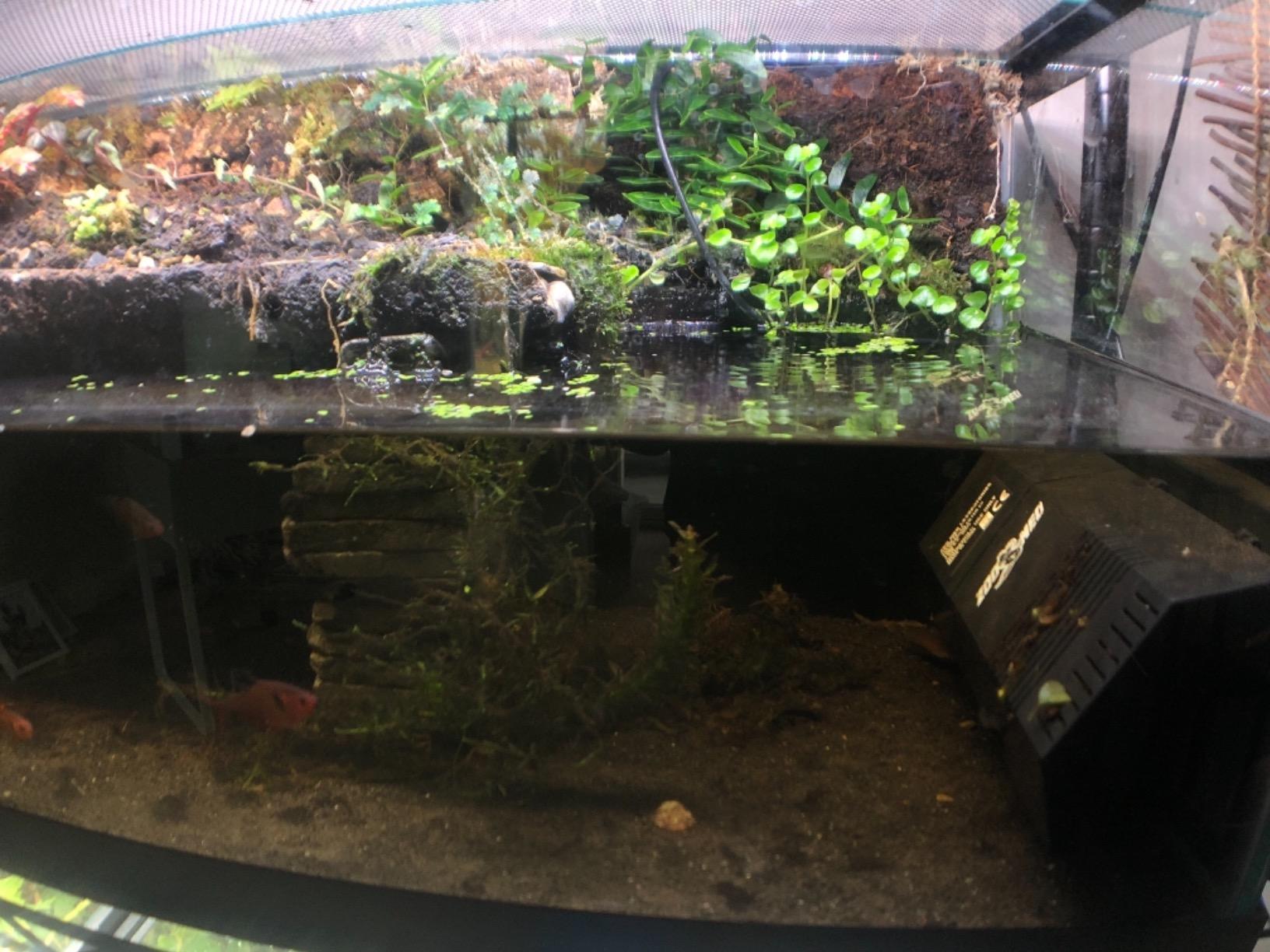 ZML FLTR INTRNL PALUDARIUM 20 customer photo 2