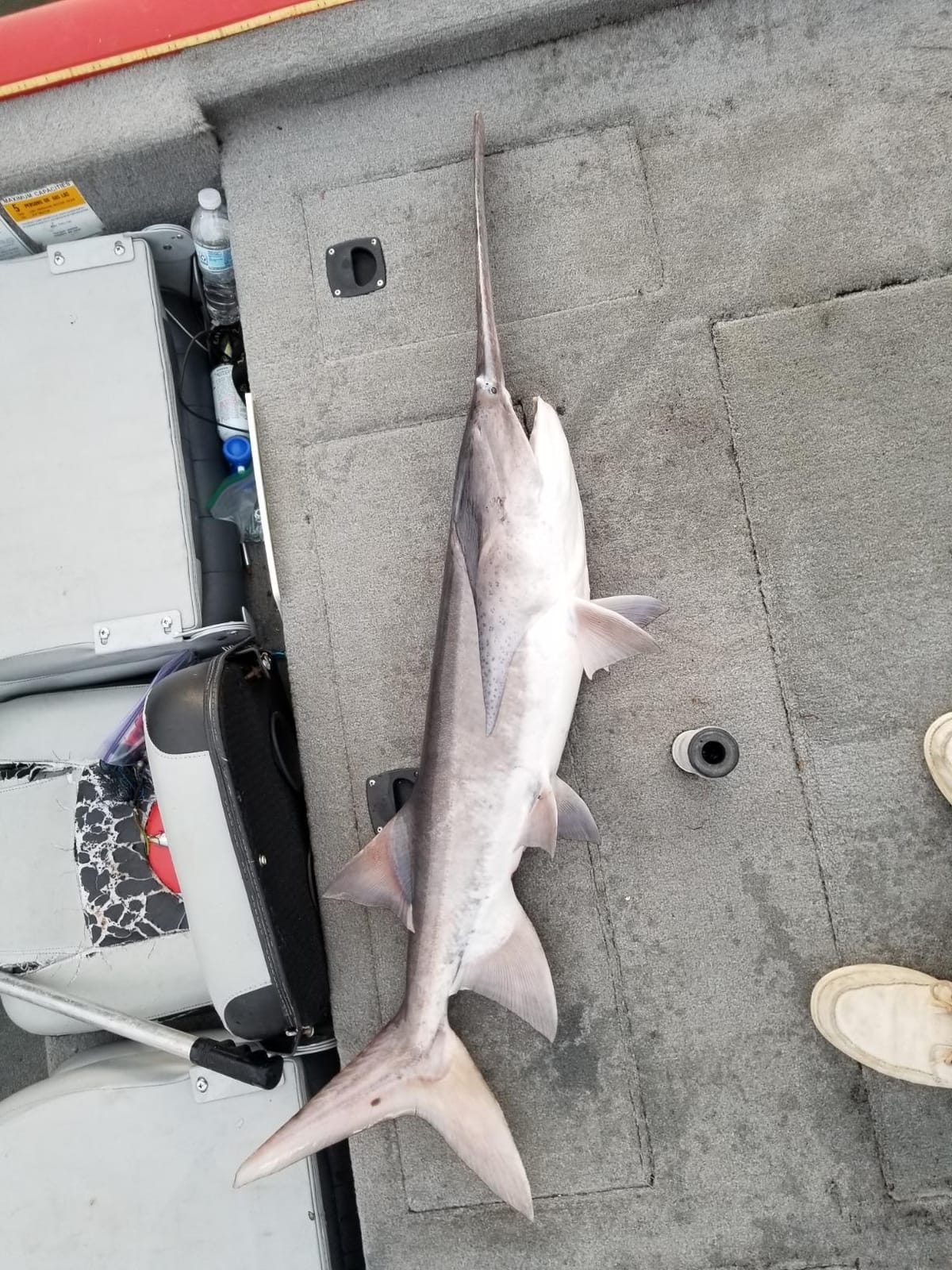 Nichols Lures Lake Fork Flutter Spoon customer photo 1