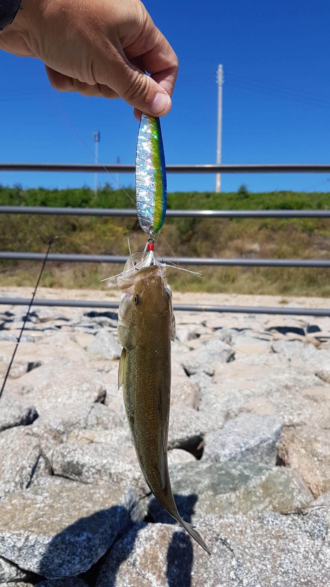 Nichols Lures Lake Fork Flutter Spoon customer photo 2