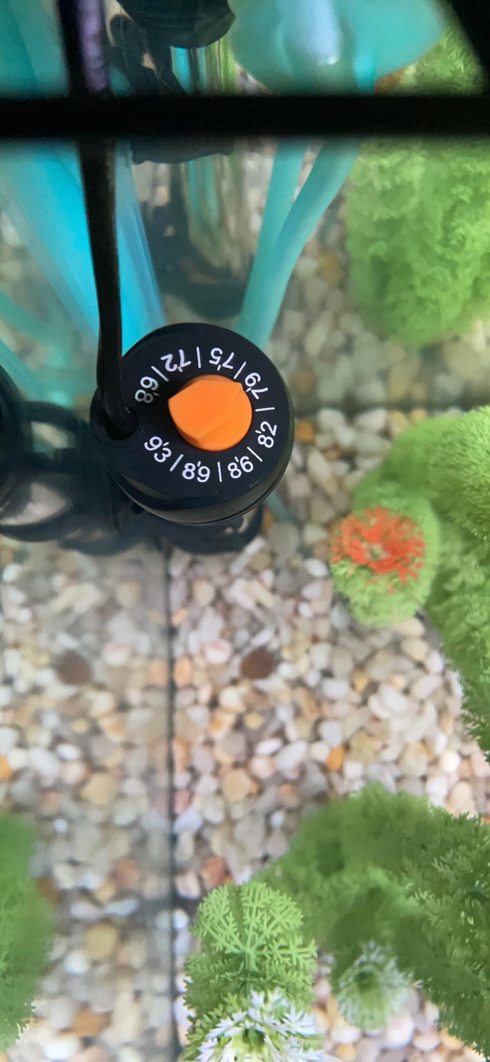 Orlushy Submersible Aquarium Heater, Adjustable Fish Tahk Heater with Free Thermometer Suitable for Marine Saltwater and Freshwater customer photo 2