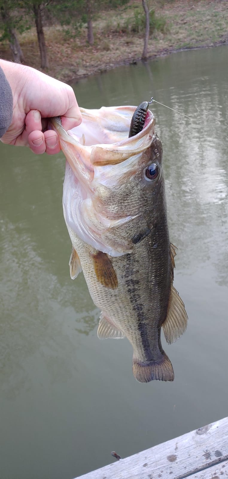 Berkley PowerBait Pit Boss Fishing Soft Bait customer photo 1