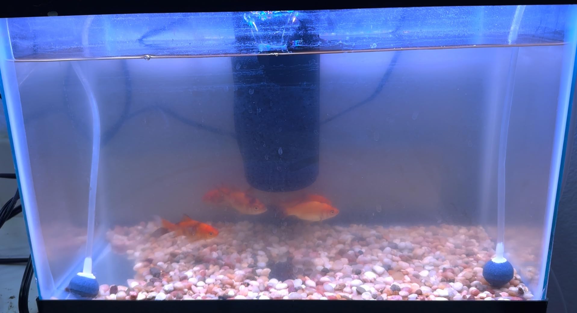 Tetra Whisper 27 GPH Internal Power Filter For Aquariums customer photo 2