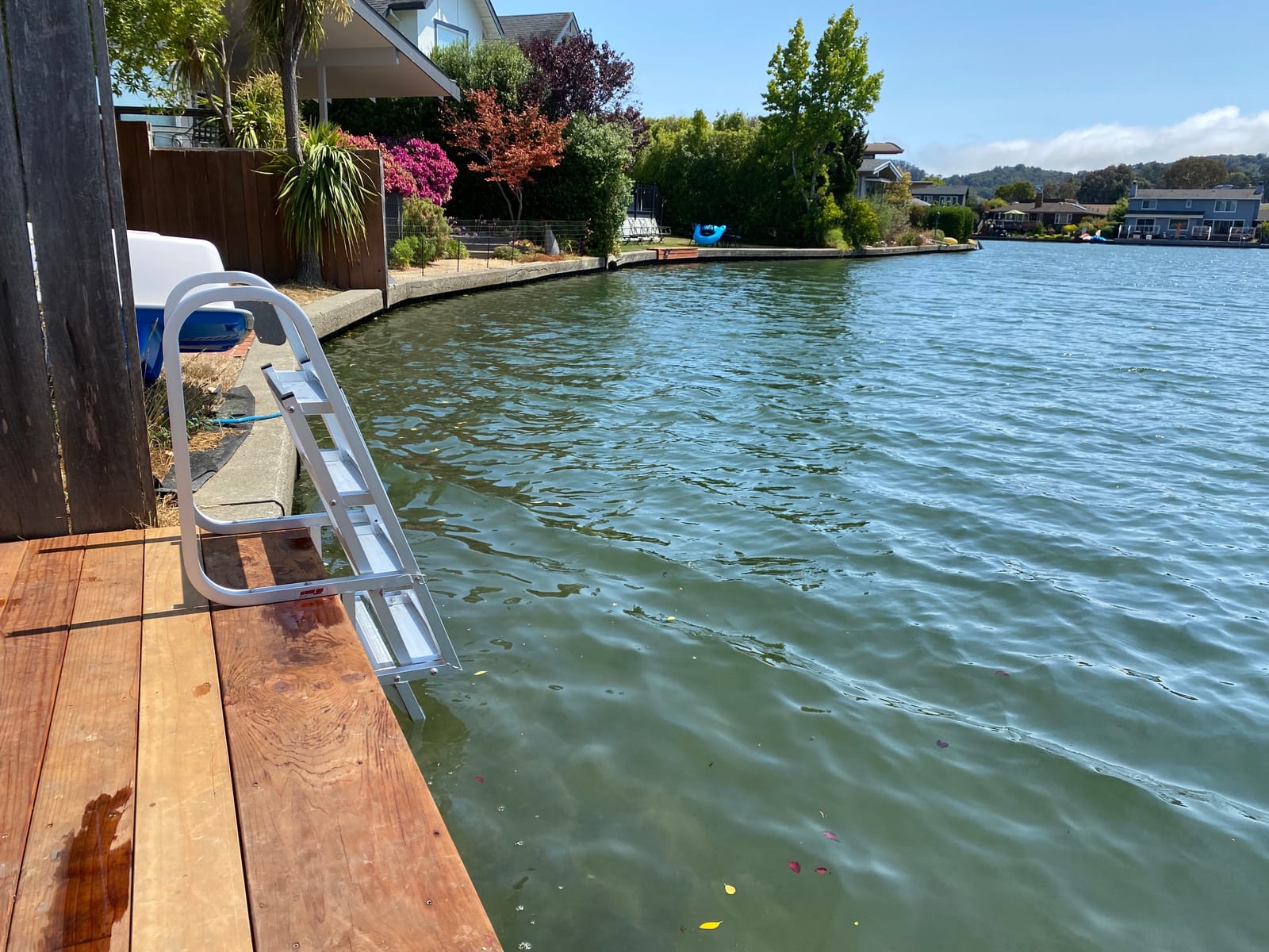 Extreme Max 3005.4119 Deluxe Flip-Up Dock Ladder - 5-Step customer photo 2
