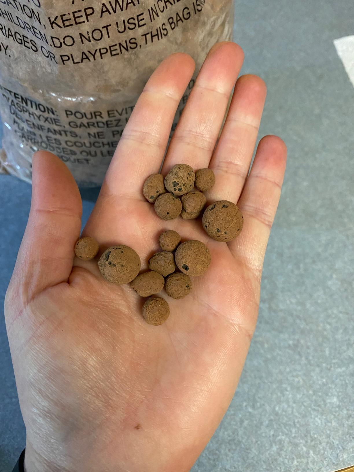 Expanded Clay Pebbles Grow Media for Orchids, NFT DWC Hydroponics, Aquaponics, Aquaculture LECA Plant Garden Soil Conditioner Amendment Ceramsite Aggregate (4 LB Cz Expanded Clay Pellets) customer photo 1