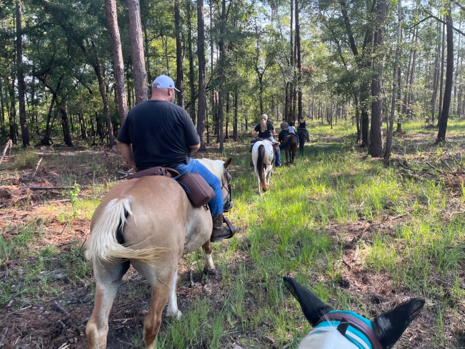 REINSMAN Insulated Leakproof Cooler Saddle Bag with Additional Cantle Bag and Straps customer photo 2
