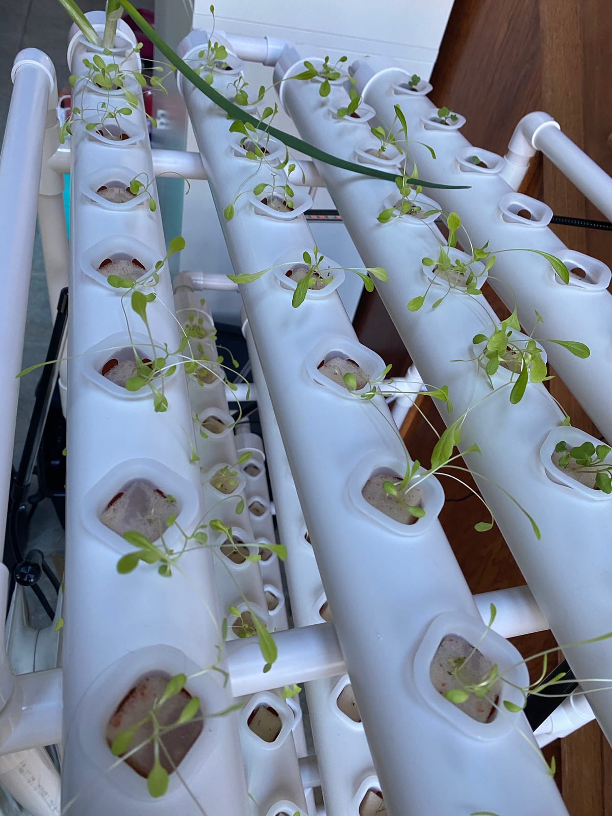 DreamJoy 3 Layers 108 Plant Sites Hydroponic Site Grow Kit 12 Pipes Hydroponic Growing System Water Culture Garden Plant System for Leafy Vegetables Lettuce Herb Celery customer photo 1