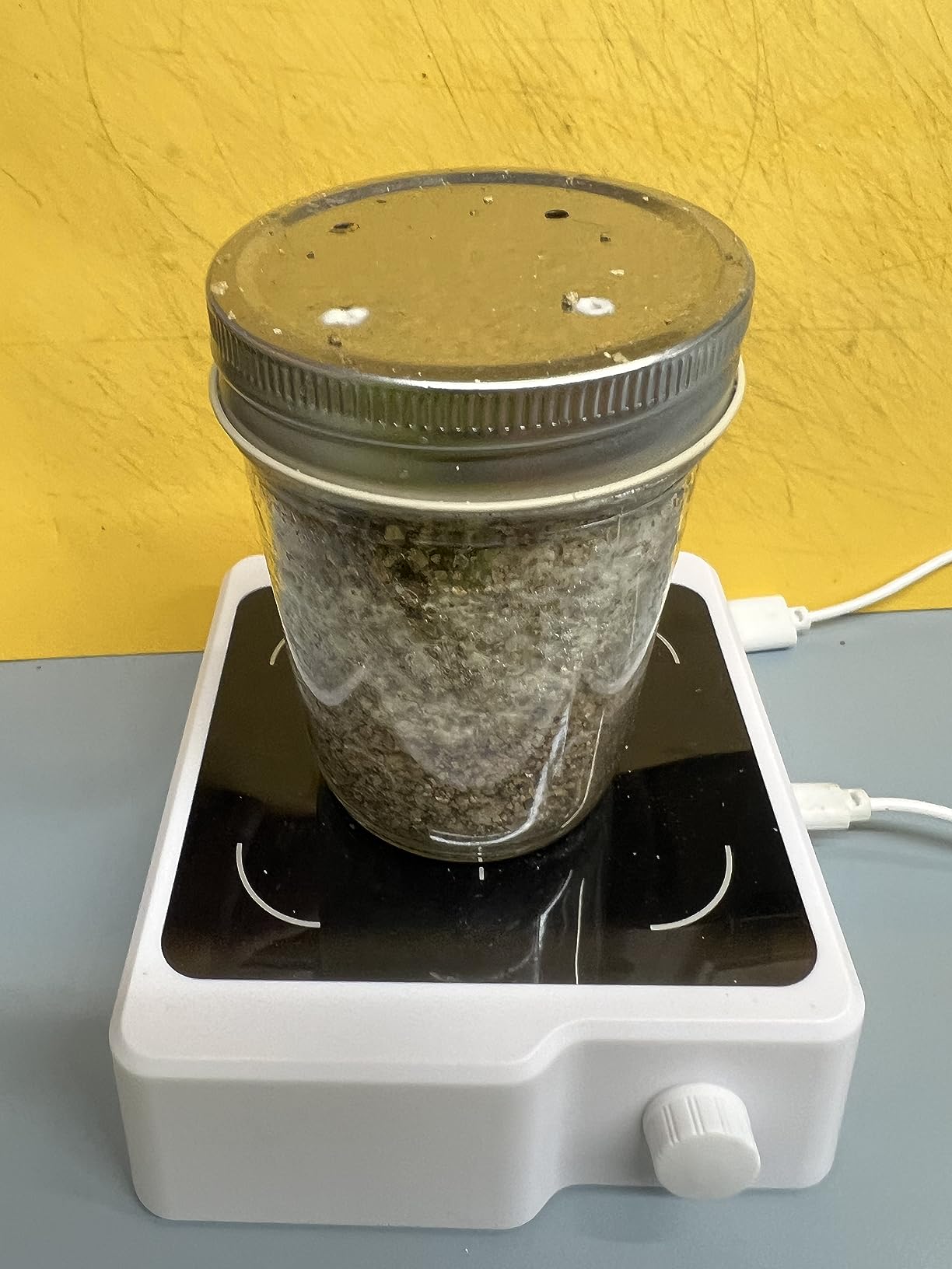 12 Jars Mushroom Growing Kit Ultimate Fast Automated Cultivation Equipment customer photo 1
