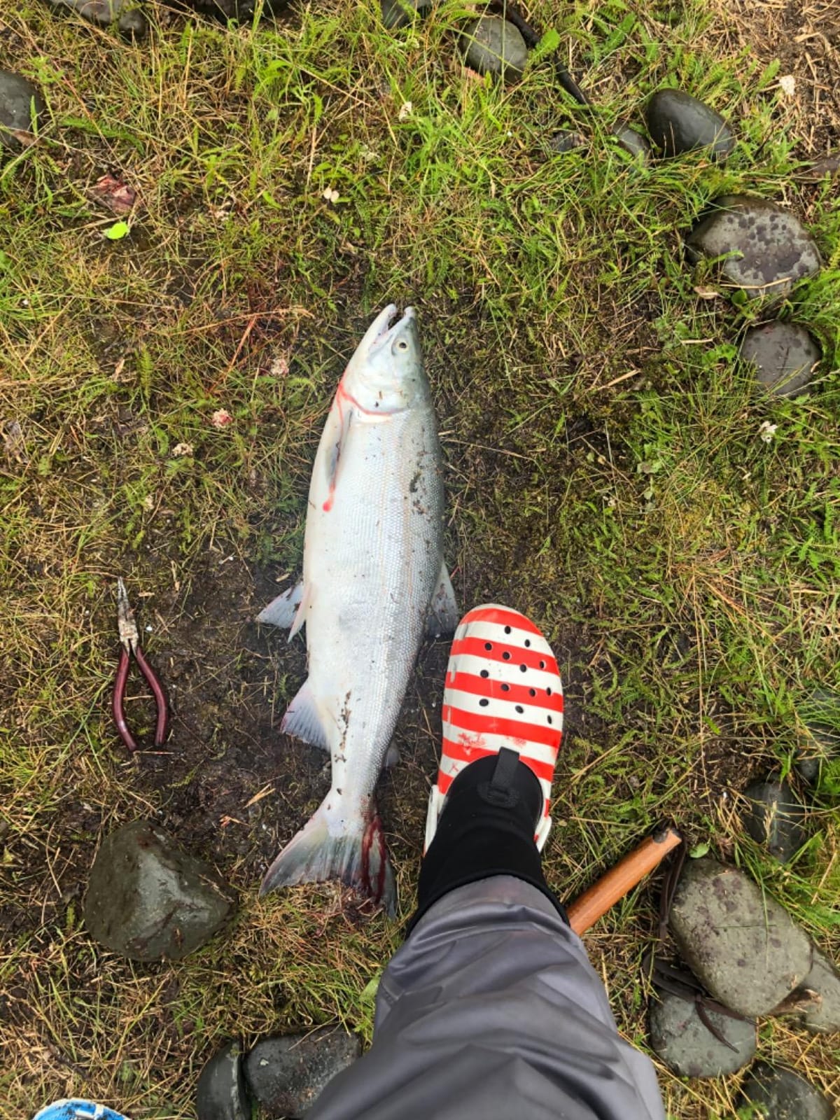 13' Spey Fly Fishing Rod 6 Sections 13FT 8/9 Spey Rod Carbon Fiber Blanks Two Handed Handle Cork Grip customer photo 2