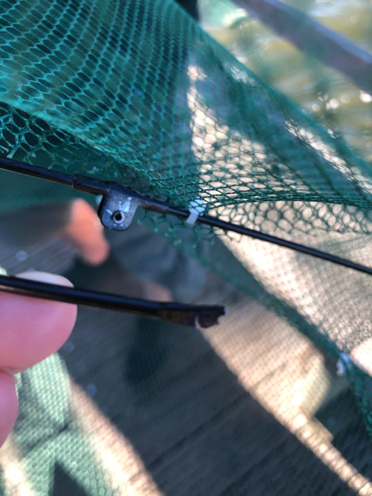 2 Pack Minnow Trap, Crawfish Trap, Crab Trap, Umbrella Fishing Net customer photo 1