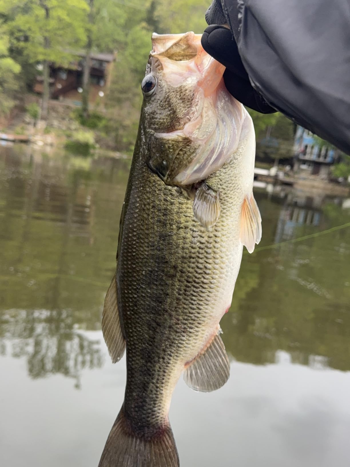 Harmony Fishing - Tungsten Offset Weedless Ned Rig Jigheads (5 Pack) customer photo 2