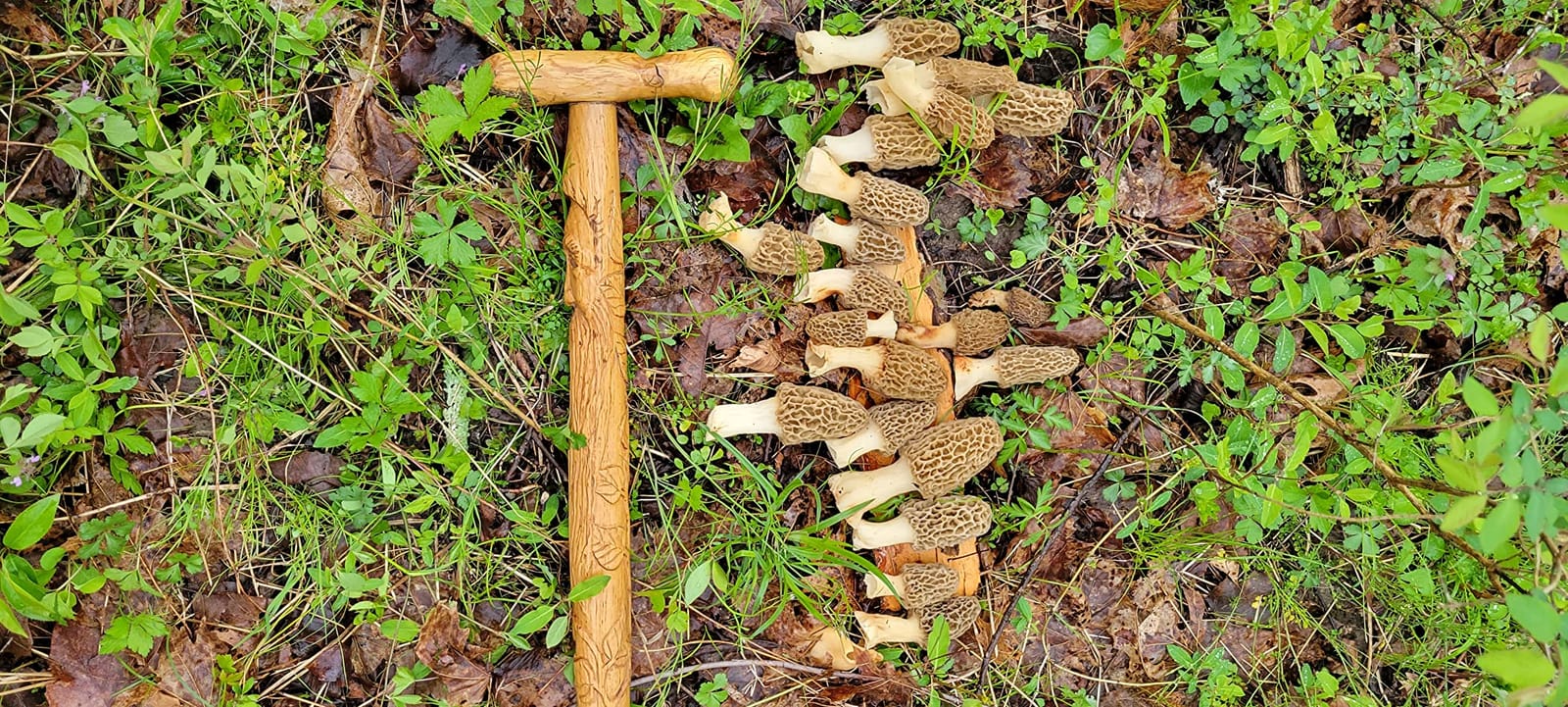 Mushroom Foraging Bag. Made in USA customer photo 1