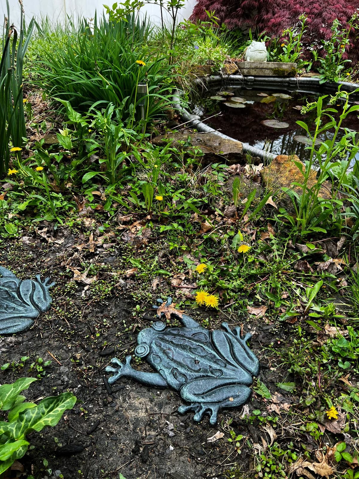 Upper Deck Cast Iron Frog Stepping Stone - Animal Garden and Yard Decor with Verdigris Finish customer photo 2