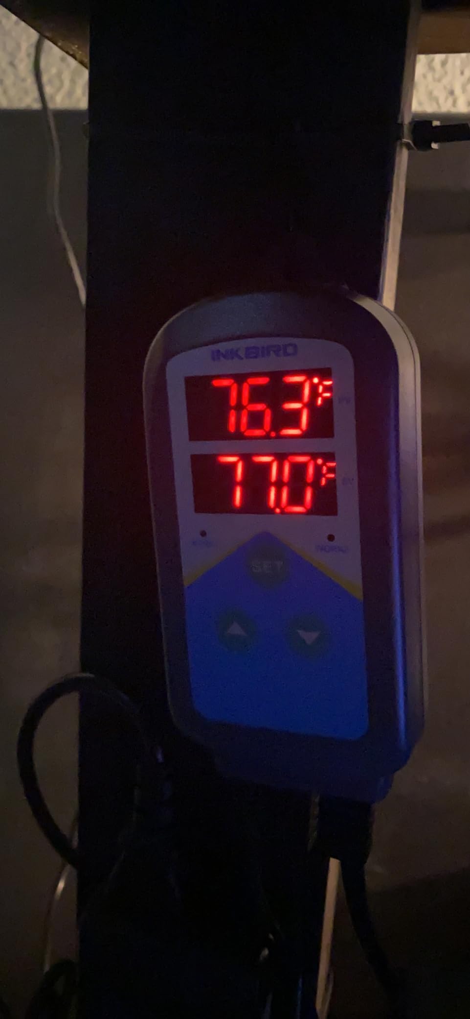 Inkbird Aquarium Heater with Probe Thermostat Fish Ornamental Shrimp Reef Tanks 24 Hours Double Time with Day Night Automatic Temperature Controller customer photo 1