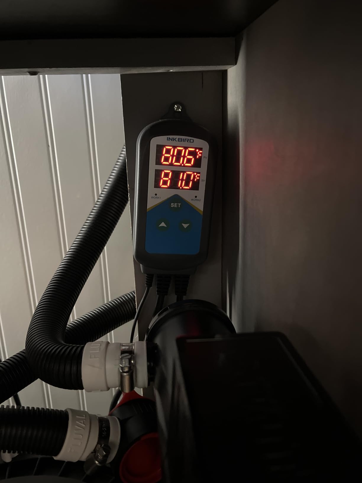Inkbird Aquarium Heater with Probe Thermostat Fish Ornamental Shrimp Reef Tanks 24 Hours Double Time with Day Night Automatic Temperature Controller customer photo 2