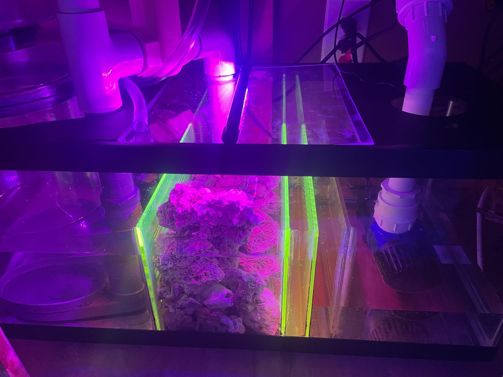 Bubblefin Aquarium Sump Refugium DIY Kit for Protein Skimmer Sump - Chamber dividers for (20 Gallon Long) Tank is not Included customer photo 1