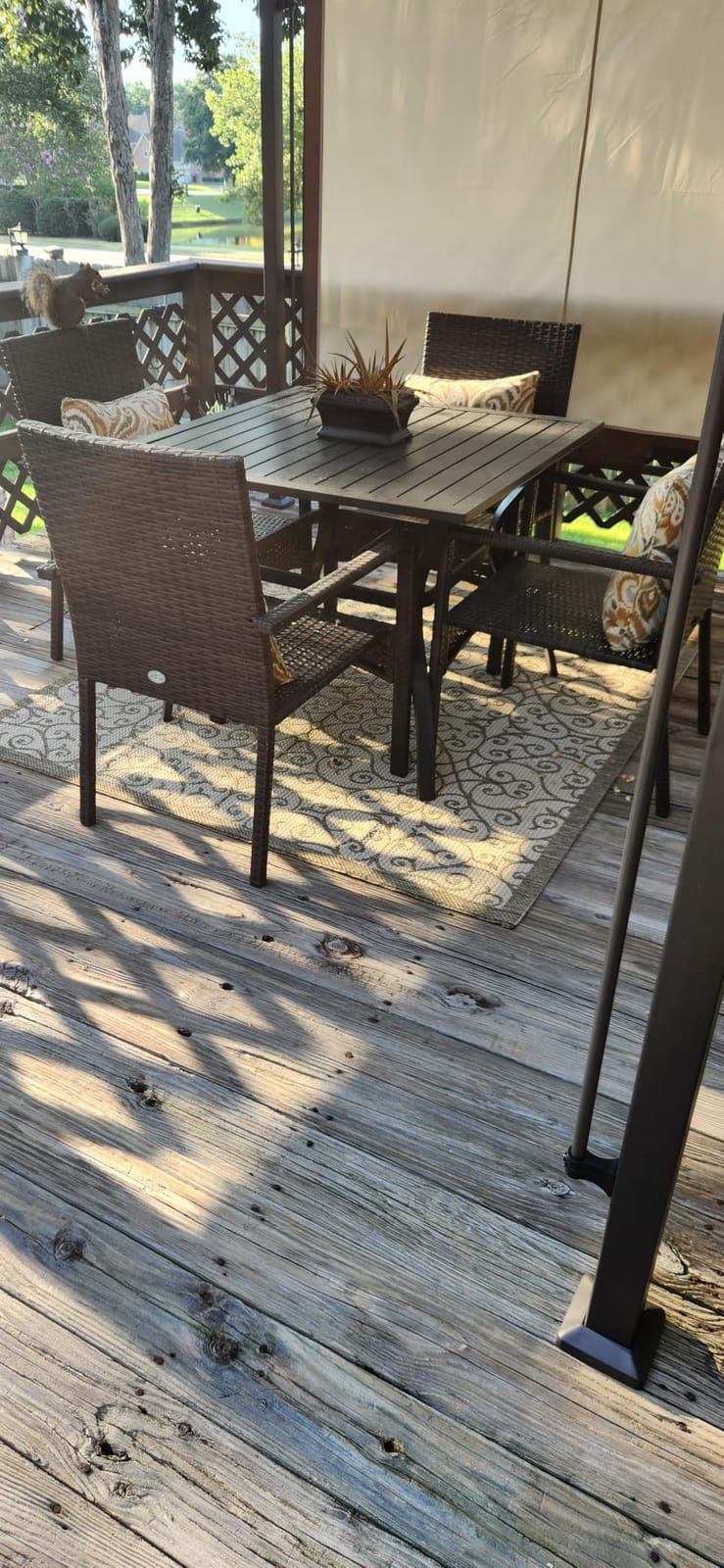 JONATHAN Y Vintage Filigree Indoor Outdoor Area Rug 8X10 Black/Khaki, Madrid Textured Weave for Backyard, Patio, Porch, Easy-Cleaning, High Traffic, Pet-Friendly, Non-Shedding (SMB107A-8) customer photo 1