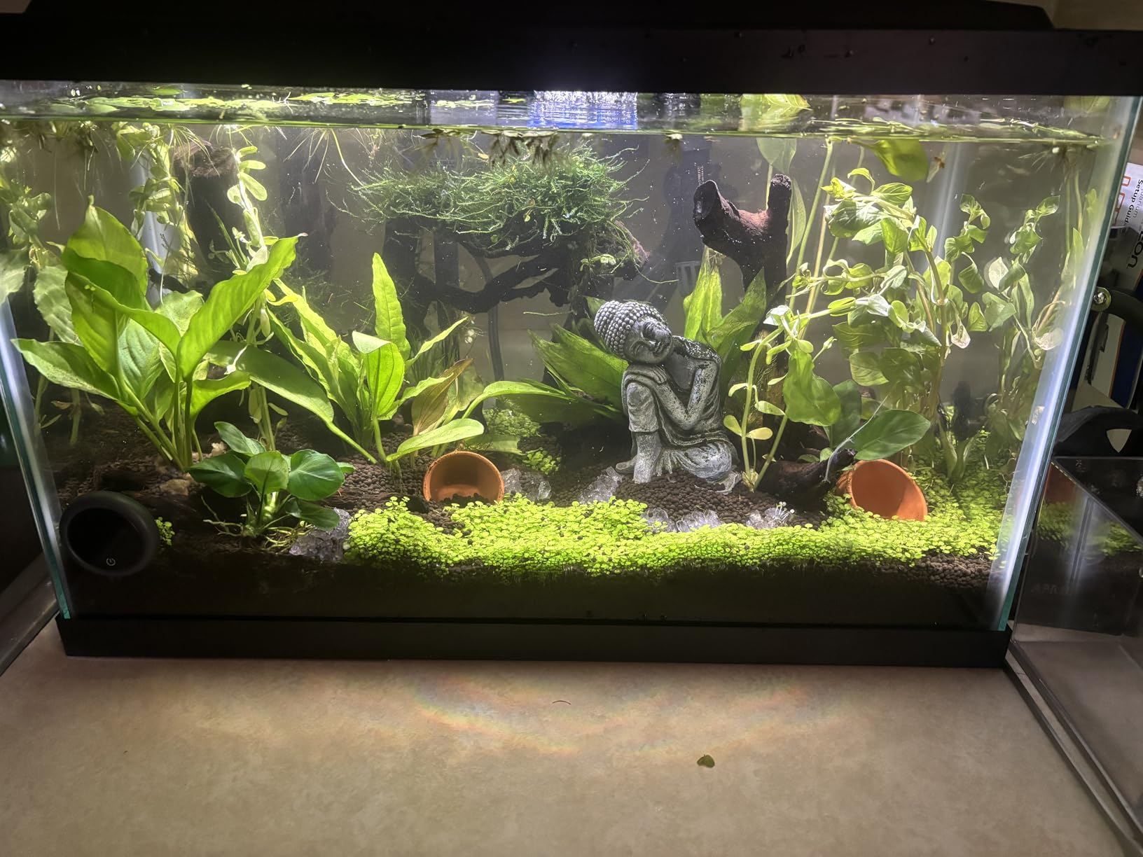 LANDEN Aquarium Substrate Soil for Plant Fish Tank,5L Black Mix Size customer photo 1