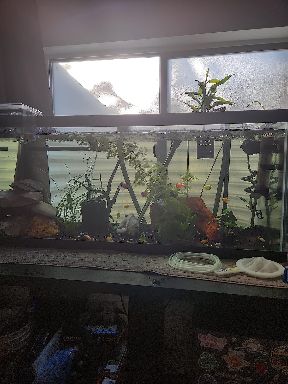 LANDEN Aquarium Substrate Soil for Plant Fish Tank,5L Black Mix Size customer photo 2
