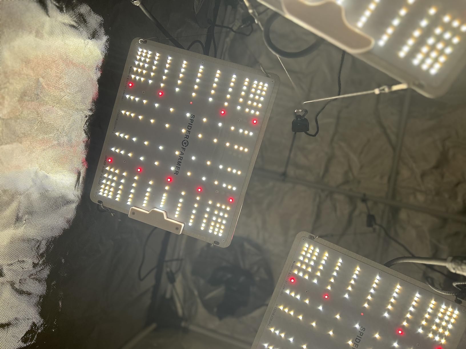 Spider Farmer SF1000 LED Grow Lights for Indoor Plants in 2x2/3x3 Grow Tent customer photo 1
