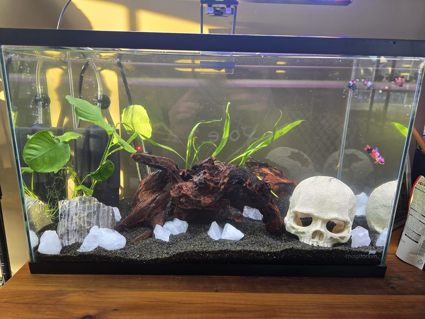 Hamiledyi 5 Pcs Driftwood Branches 5.5