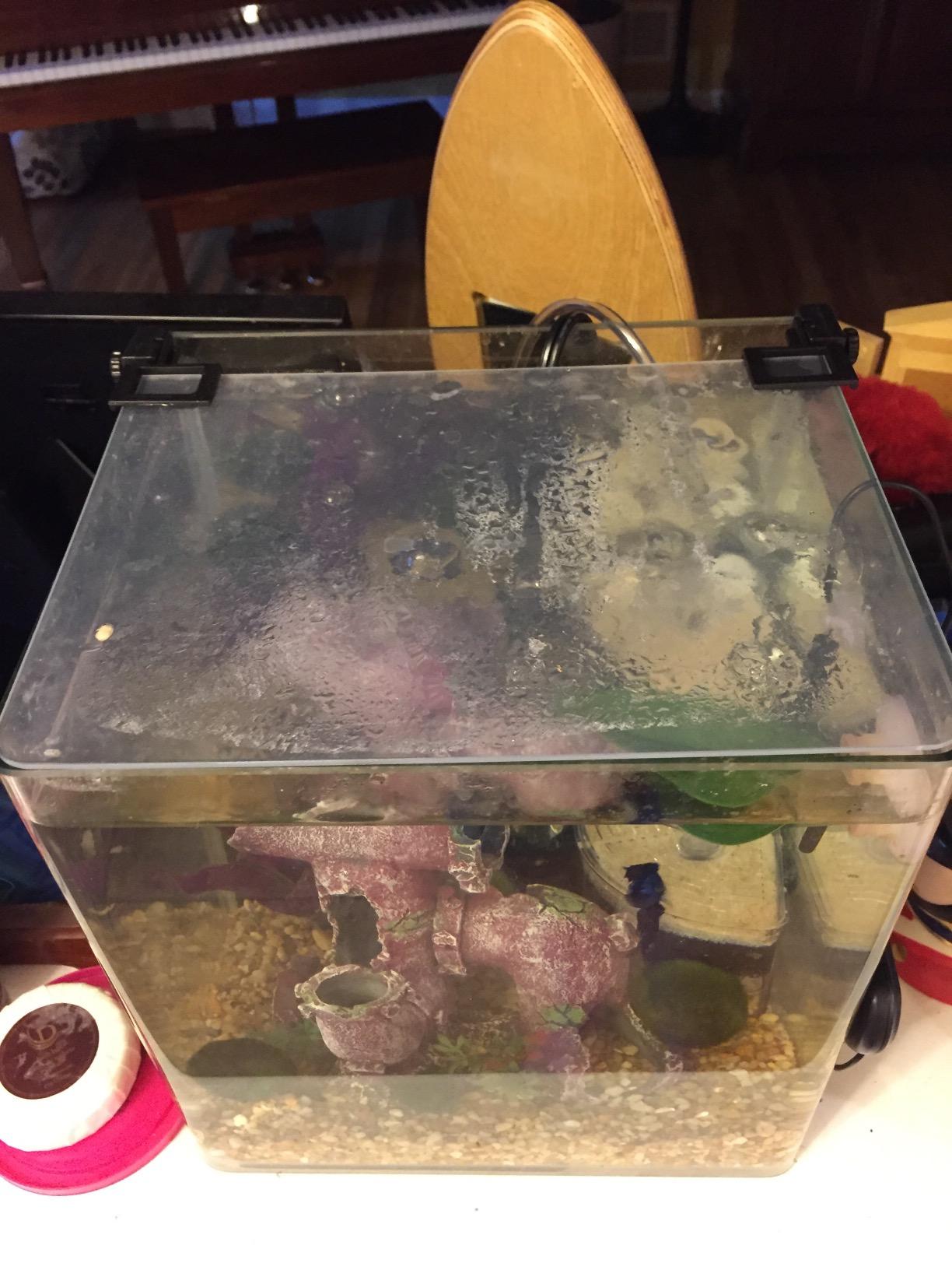 Penn-Plax Water-World Vertex Desktop Aquarium Kit - Perfect for Shrimp & Small Fish - 10 Gallon Tank customer photo 1