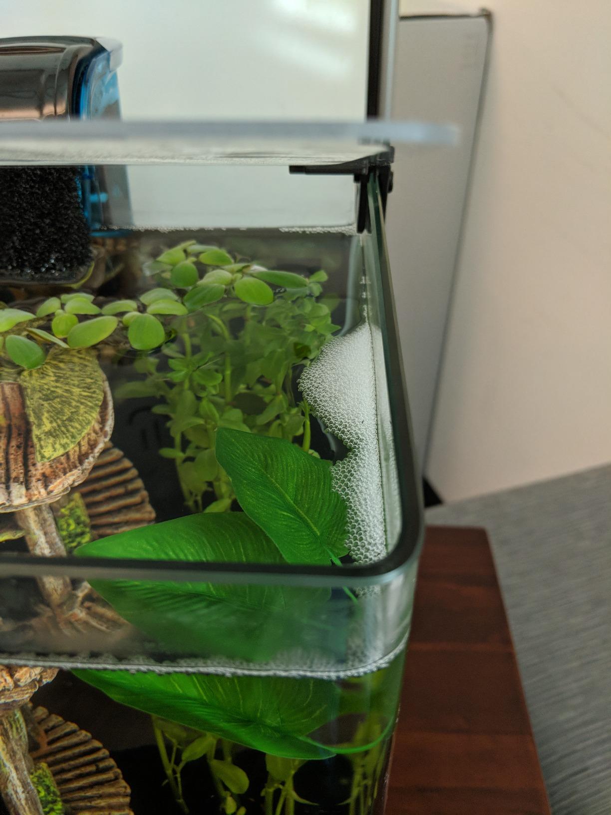 Penn-Plax Water-World Vertex Desktop Aquarium Kit - Perfect for Shrimp & Small Fish - 10 Gallon Tank customer photo 2