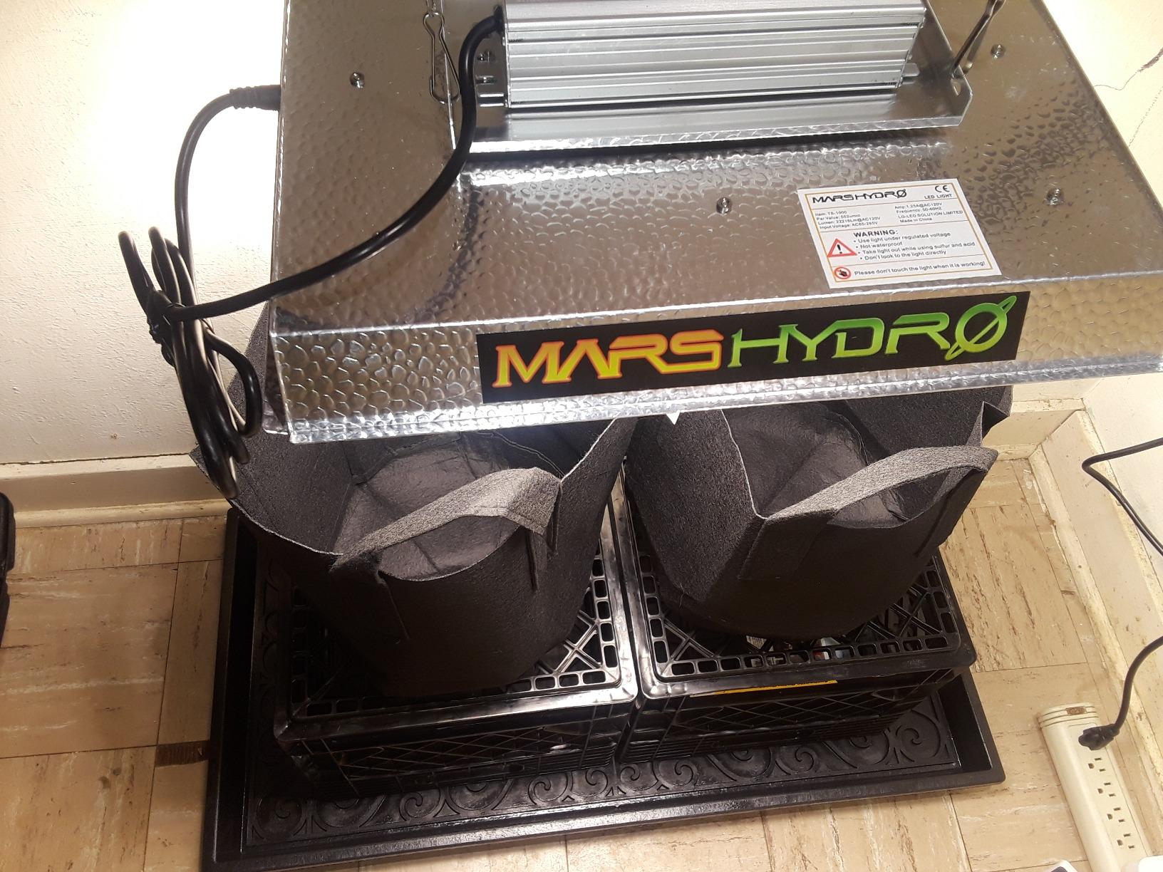 MARS HYDRO 100W TS600 2x2ft Dimmable LED Grow Lights for Indoor Plants customer photo 2