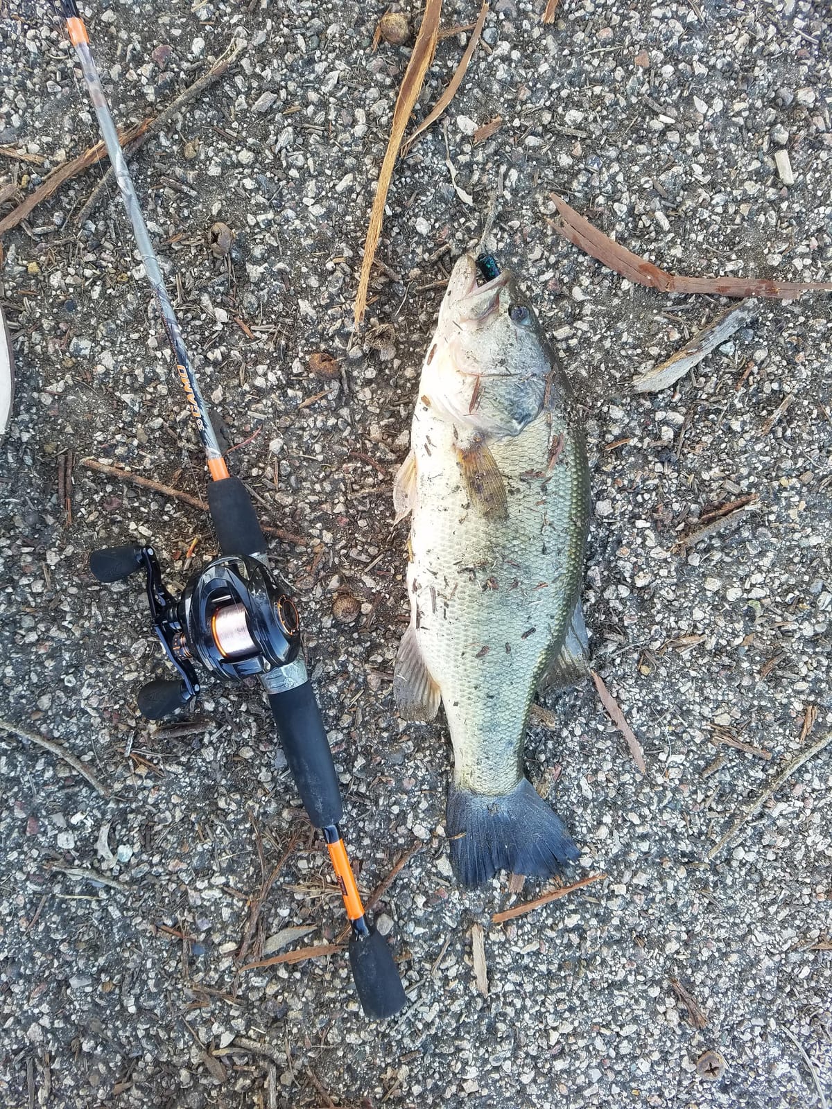 Z-MAN Z Man Ttic Pk 8 TRD Ticklerz 2 75 ' customer photo 1