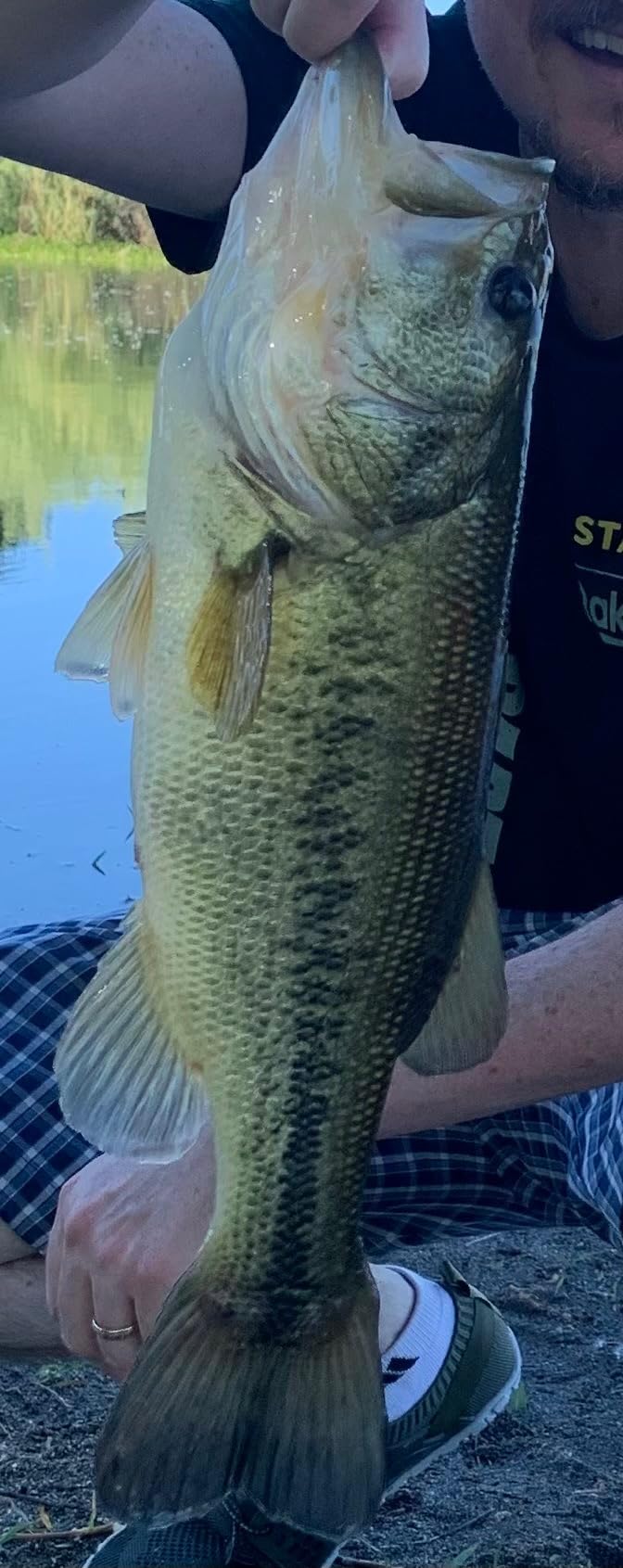 Z-MAN Z Man Ttic Pk 8 TRD Ticklerz 2 75 ' customer photo 2