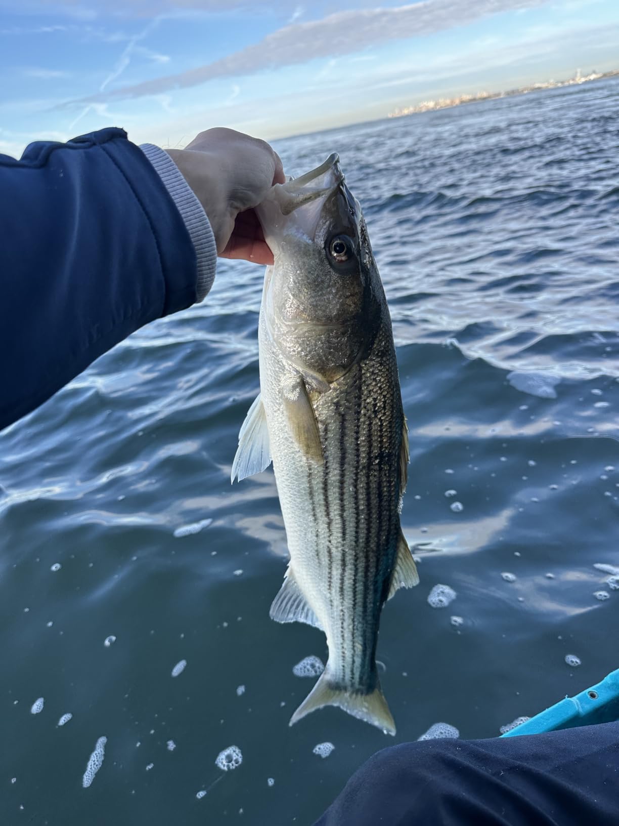 Berkley Fusion19 Shakey Head Fishing Jigheads customer photo 1