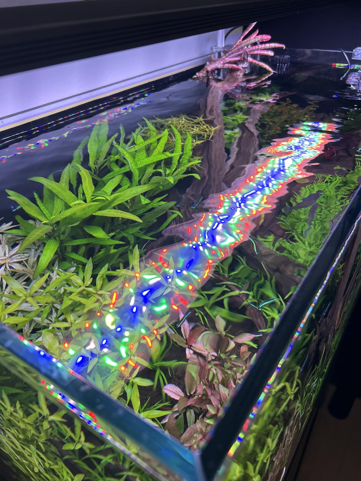 FZONE Aquatic Glass Lily Pipe Inflow with Surface Skimmer for Aquarium Filter 5/8''(16/22mm) Tubing customer photo 2