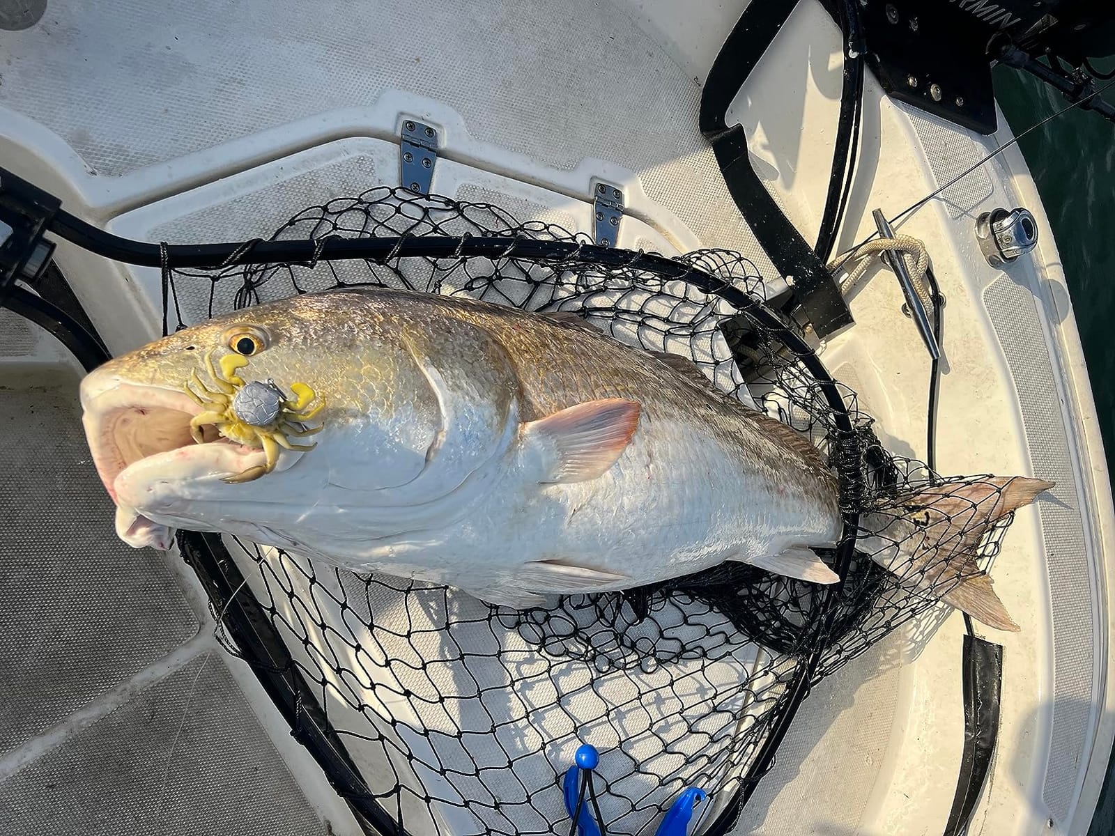 Savage Gear 3D Crab TPE Fishing Soft Bait customer photo 2