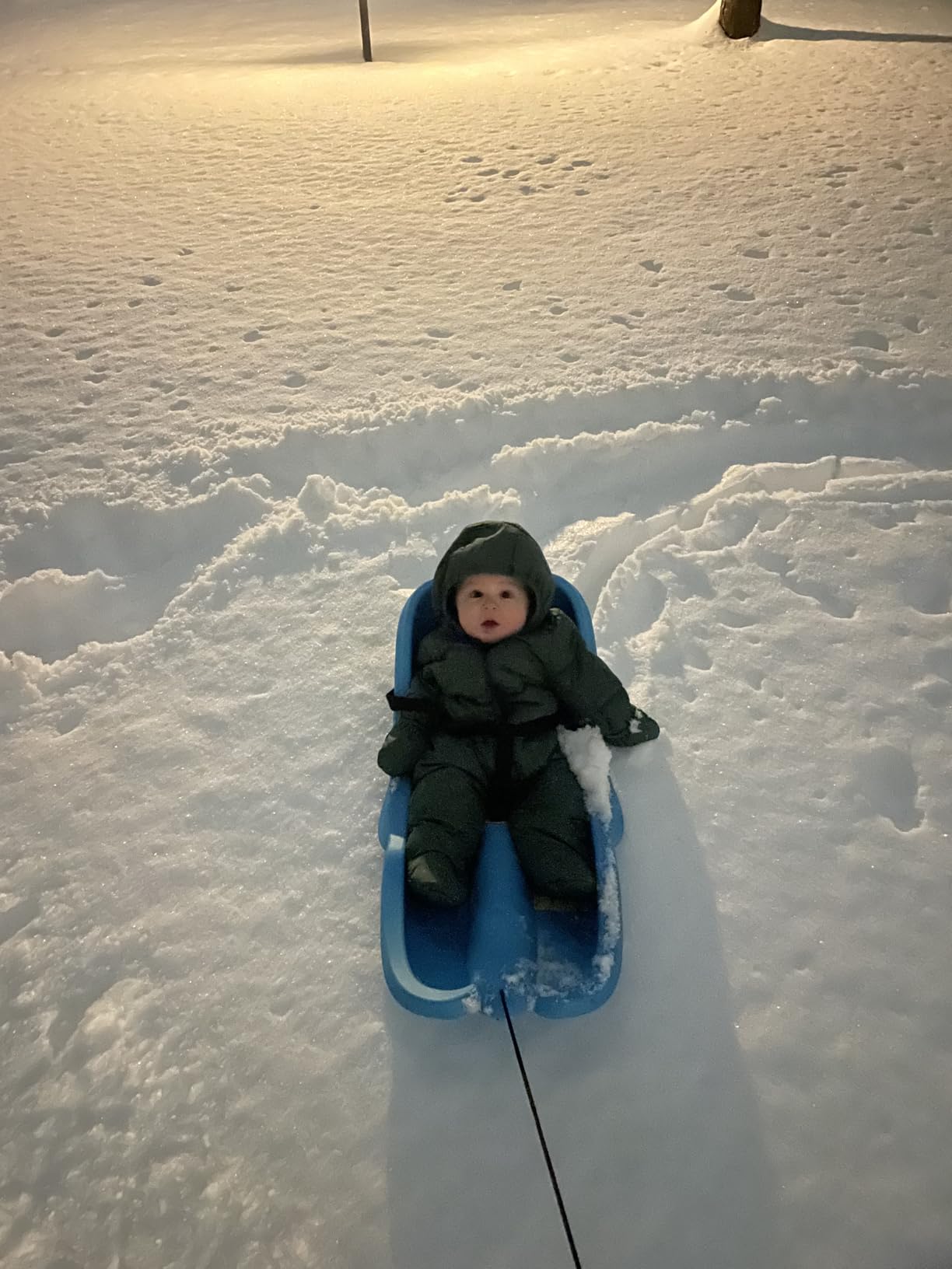 Gizmo Riders Baby Rider, Toddler Sled - 3-Point Harness, Anti-Slip Seat, Retractable Tow Strap, Durable Plastic, Ideal for 6 Months to 3 Years, Supports Up to 55 lbs, Winter Fun for Little Ones customer photo 1