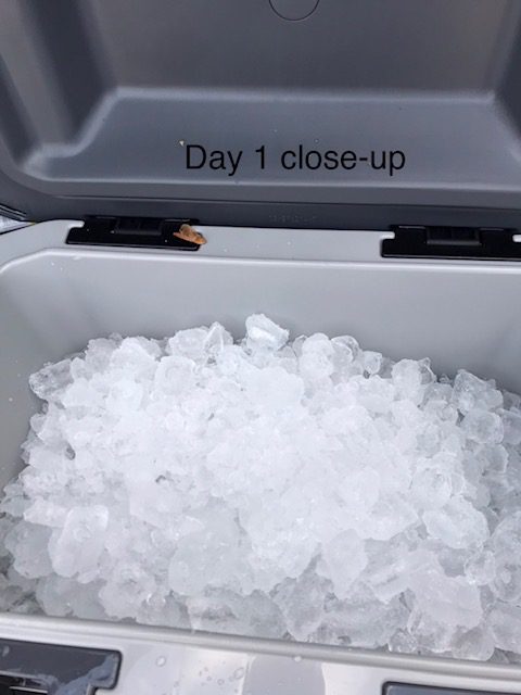Igloo BMX Cooler | Insulated Hard Shell Ice Chest customer photo 1