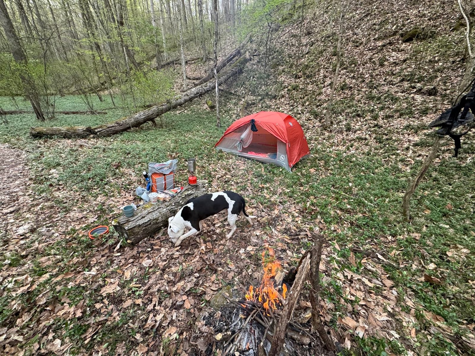 Big Agnes Copper Spur HighVolume Ultralight Backpacking and Camping Tent customer photo 1