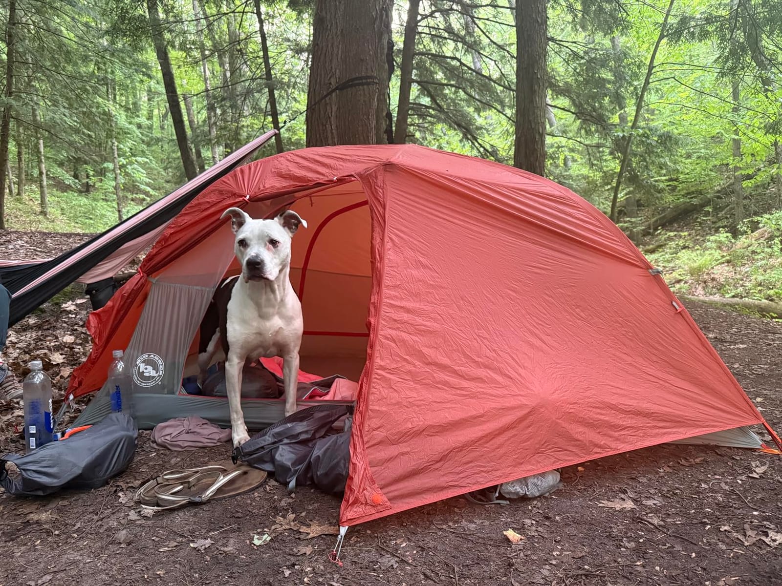 Big Agnes Copper Spur HighVolume Ultralight Backpacking and Camping Tent customer photo 2