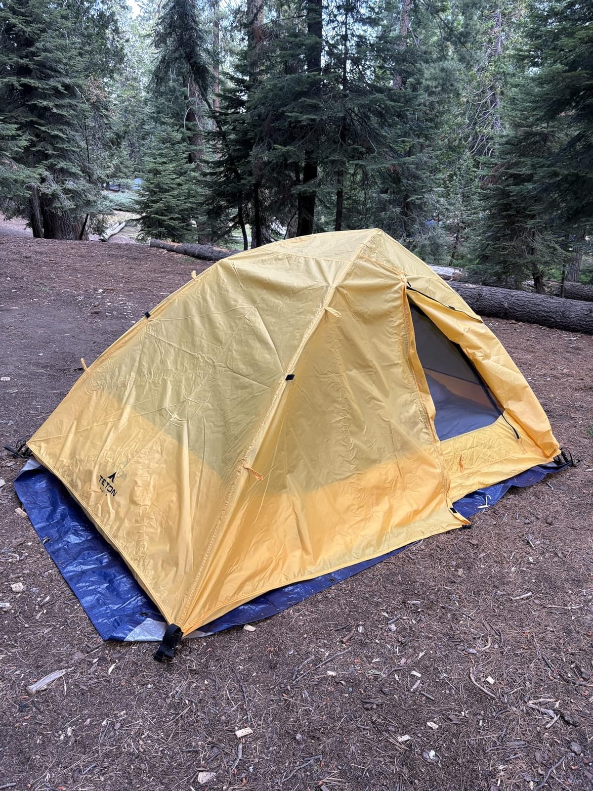 Teton Sports Vista Quick Tent; Dome Camping and Backpacking Tent; Easy Instant Setup; Clip-On Rainfly Included customer photo 1