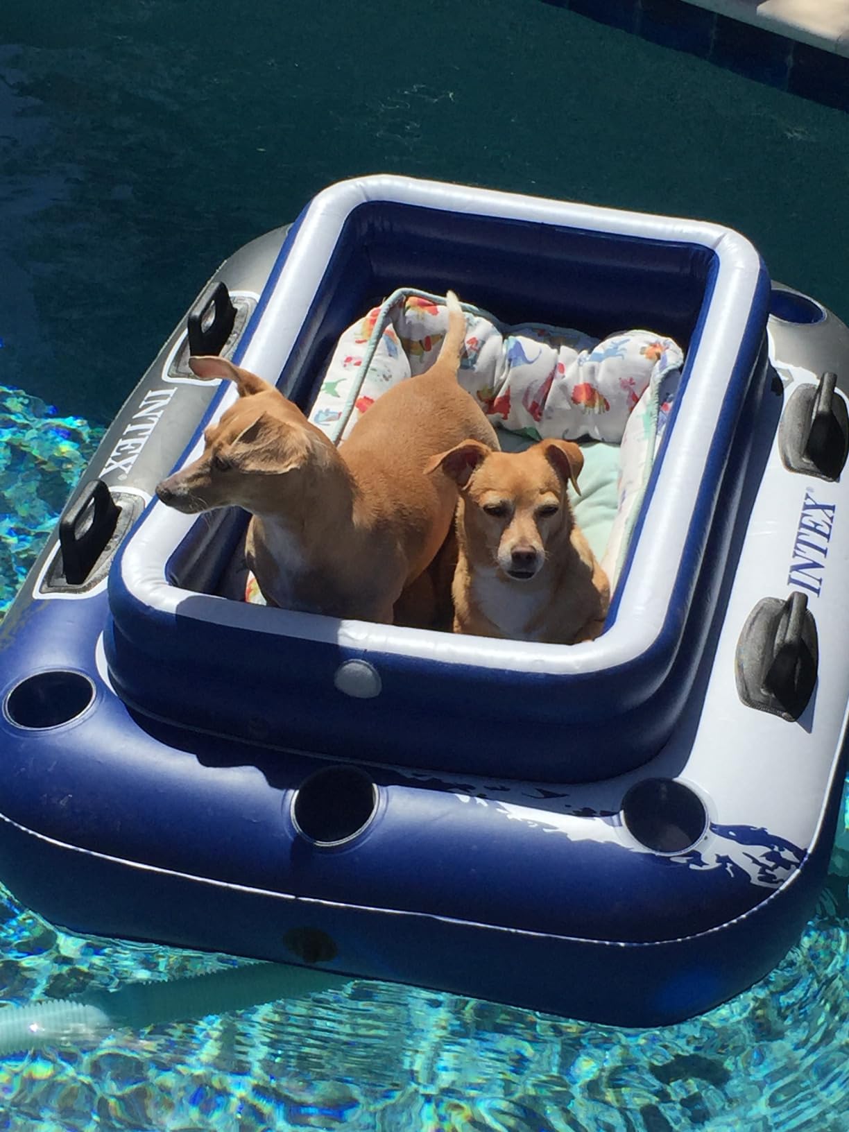 Intex 58821EP Inflatable Mega Chill II 72 Can Beverage Cooler Float w/ Lid customer photo 1