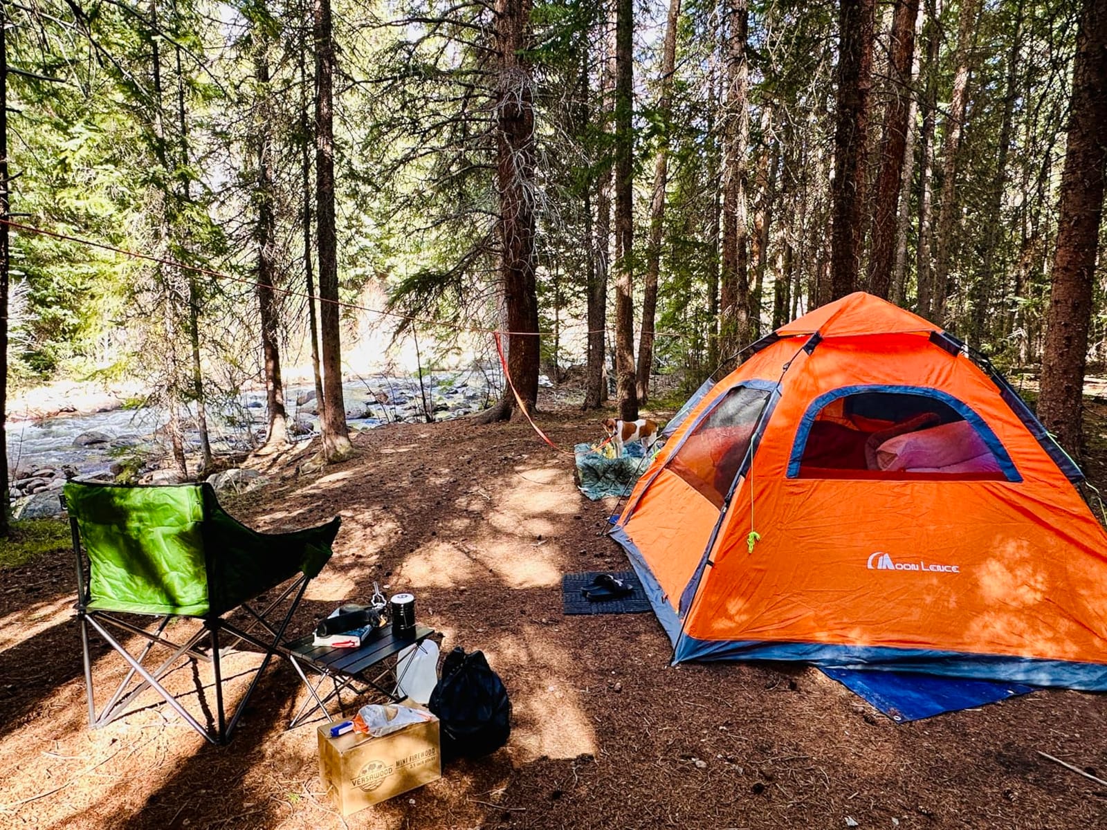 MOON LENCE Pop Up Camping Tent, 3-4 Person Automatic Instant Tent Portable Windproof for Backyard, Car Camping, Family Trips customer photo 1