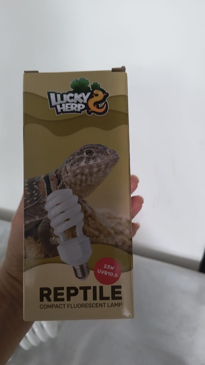 LUCKY HERP UVA UVB Reptile Light 10.0, Desert UVB 150 Compact Fluorescent Lamp, UVB Light for Reptiles 23W, UVA UVB Reptile Light Bulb, UVB Bulb for Reptiles Bearded Dragons Lizards Tortoises Snakes customer photo 1
