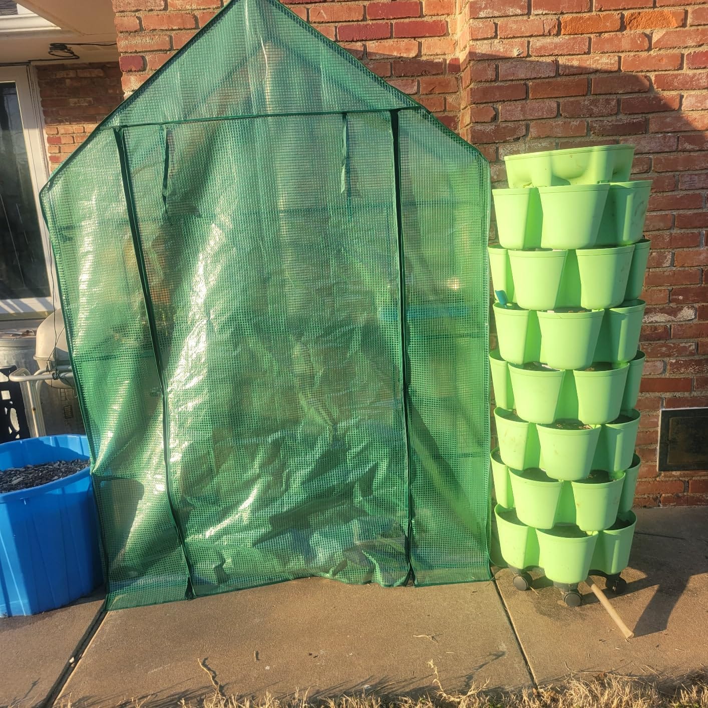 56x30x76 Mini Walk-in Greenhouse, Portable Plant House with 3-Tier Shelves customer photo 1