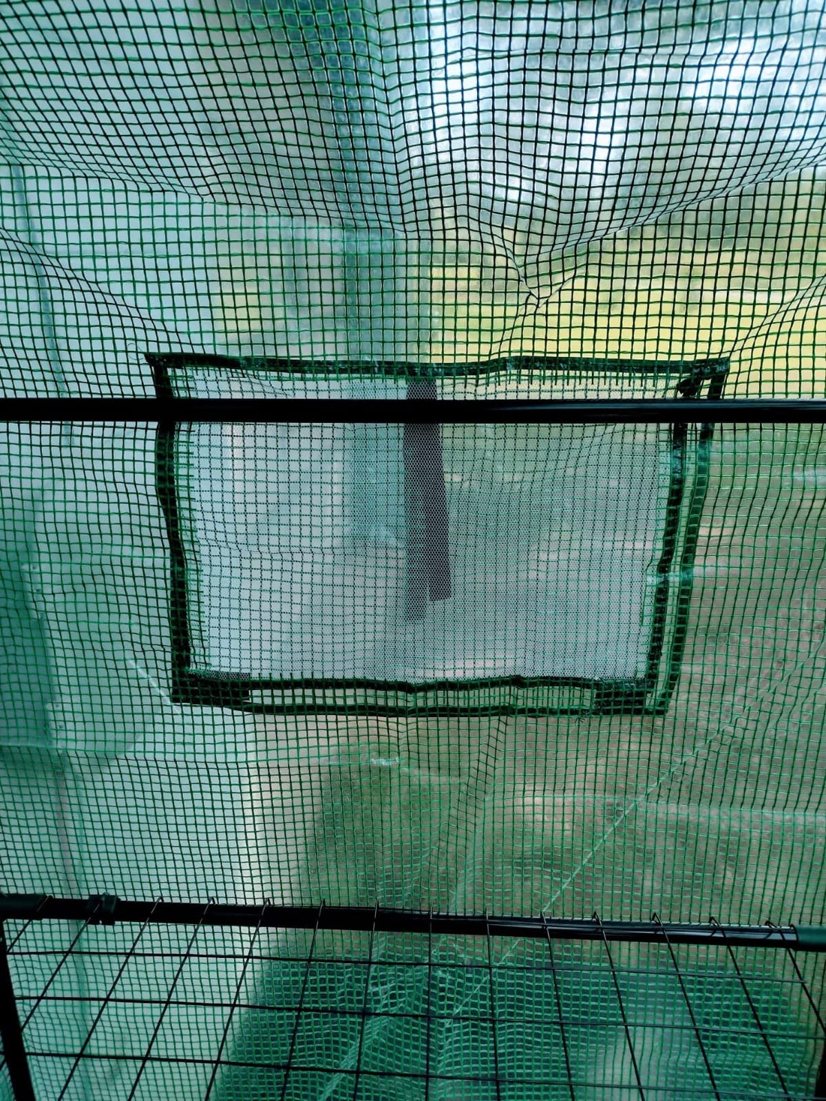 56x30x76 Mini Walk-in Greenhouse, Portable Plant House with 3-Tier Shelves customer photo 2